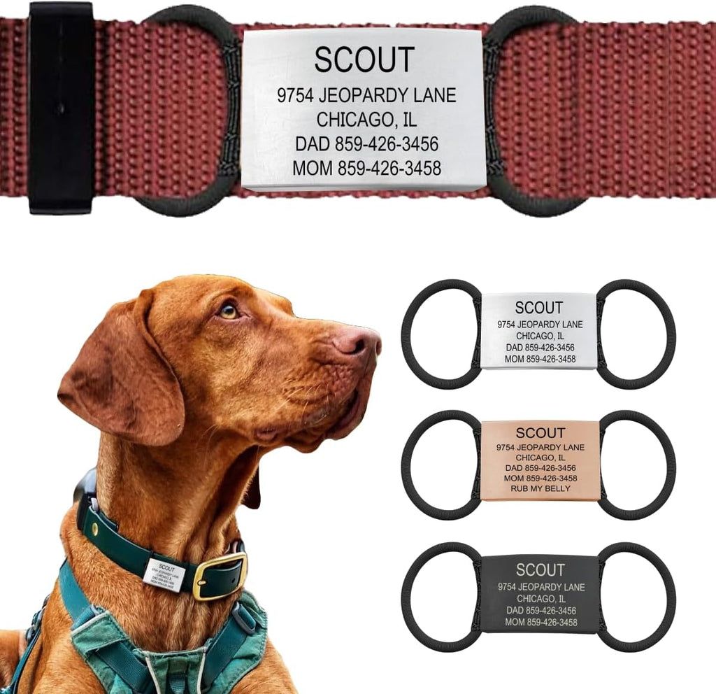 Premium imported ROAD iD pet safety tag packaging and contents view.