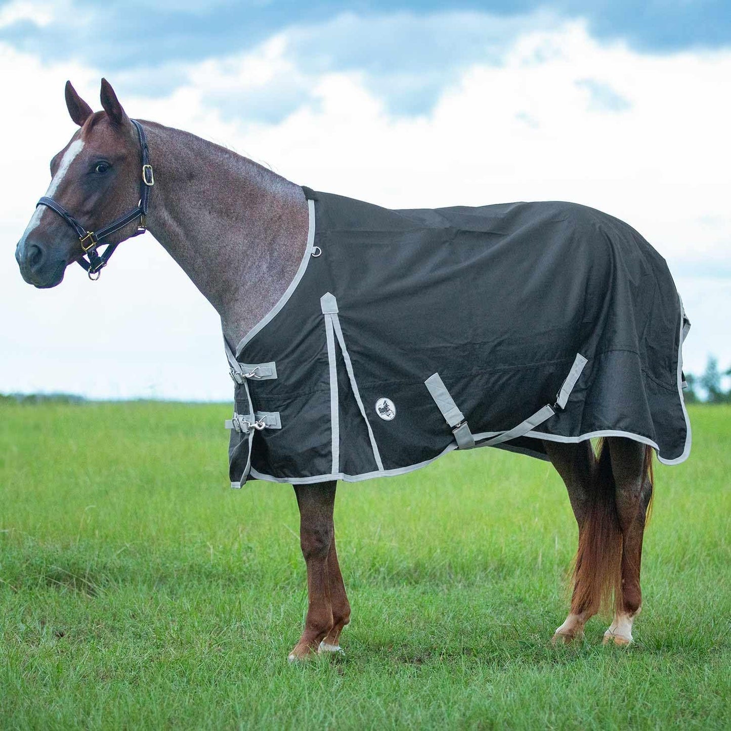 Teal Grey Jeffers lightweight turnout blanket sheet showing adjustable straps and side shoulder gussets.