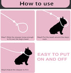 Tochibabe brand imported pet walking leash in vibrant pink colorway.