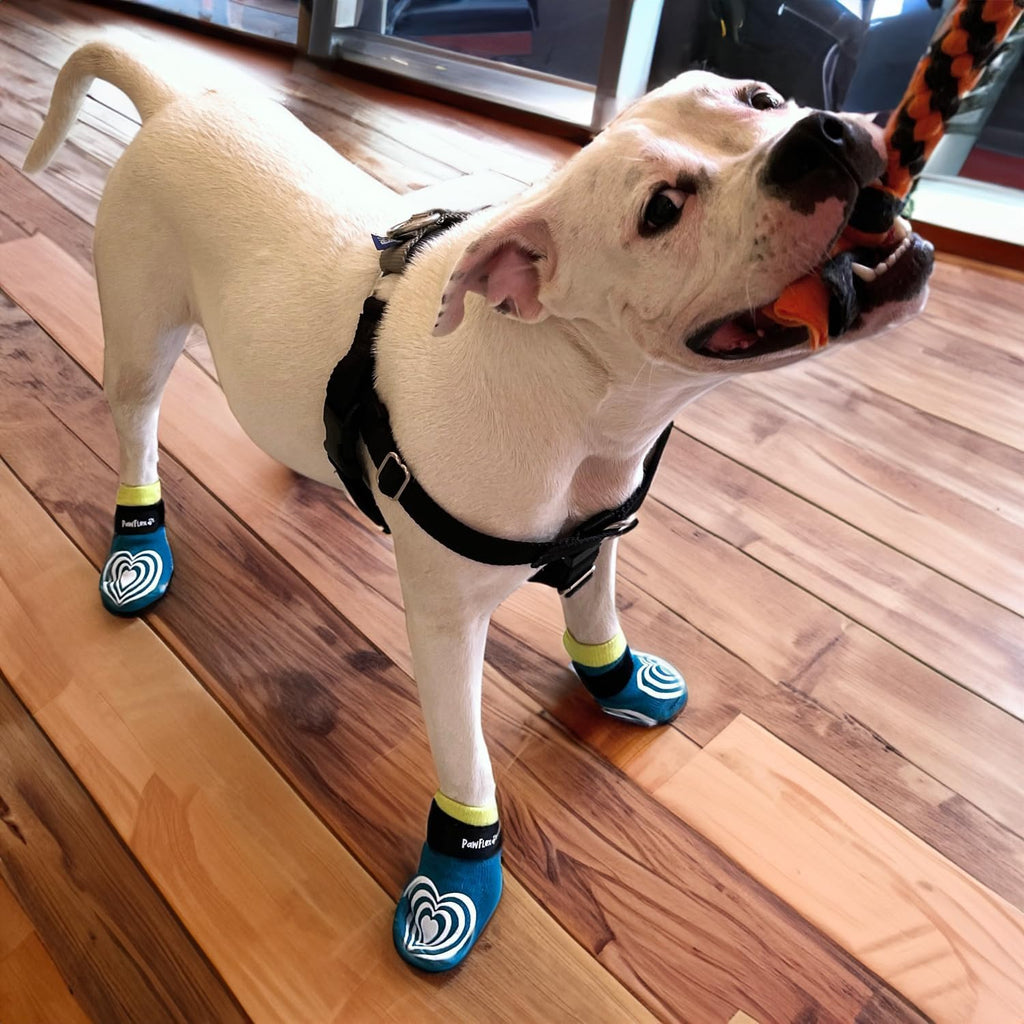 PawFlex dog socks showing inner cuff grip mechanism