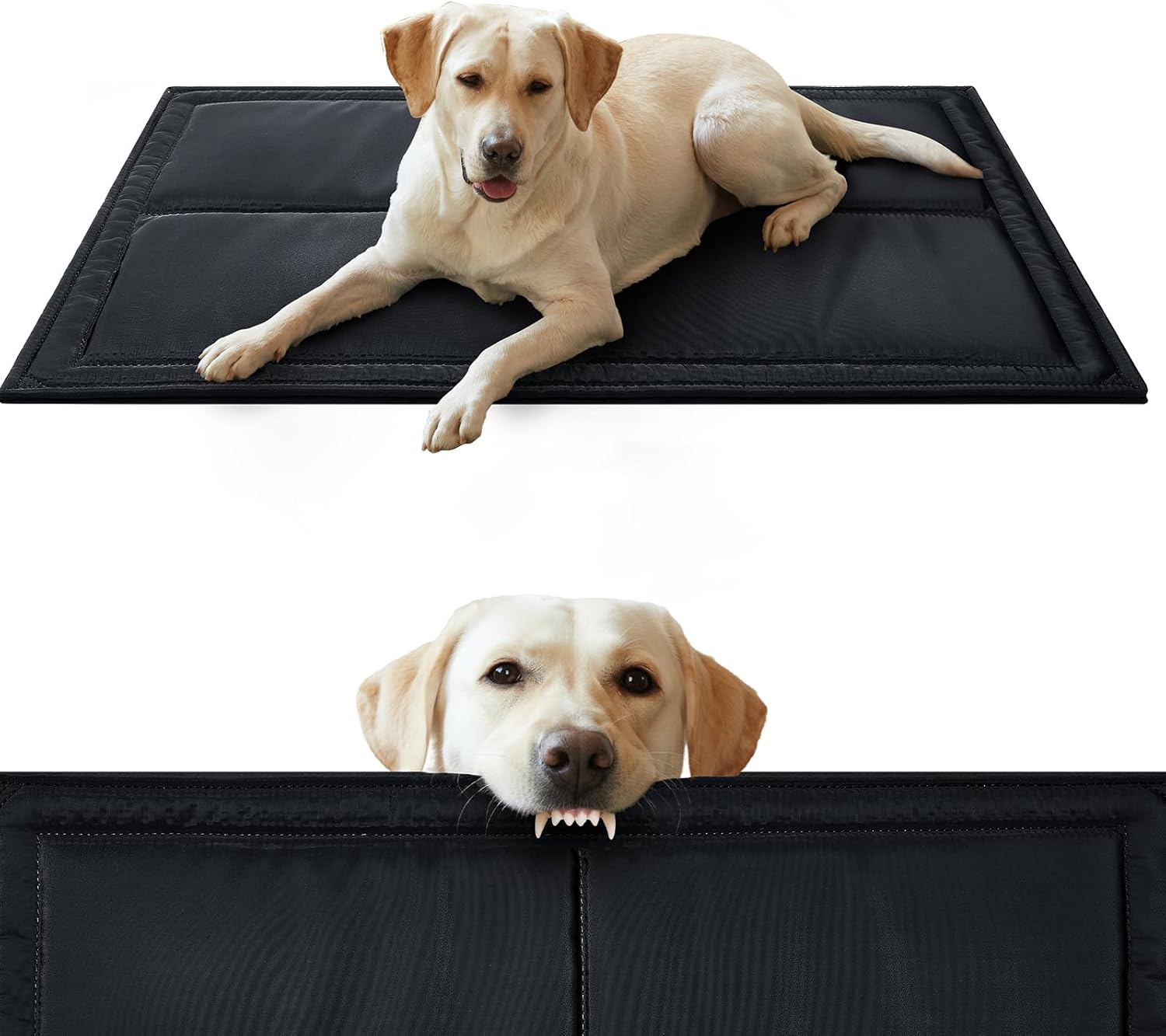 Couzssyhi chew proof indestructible dog bed front view