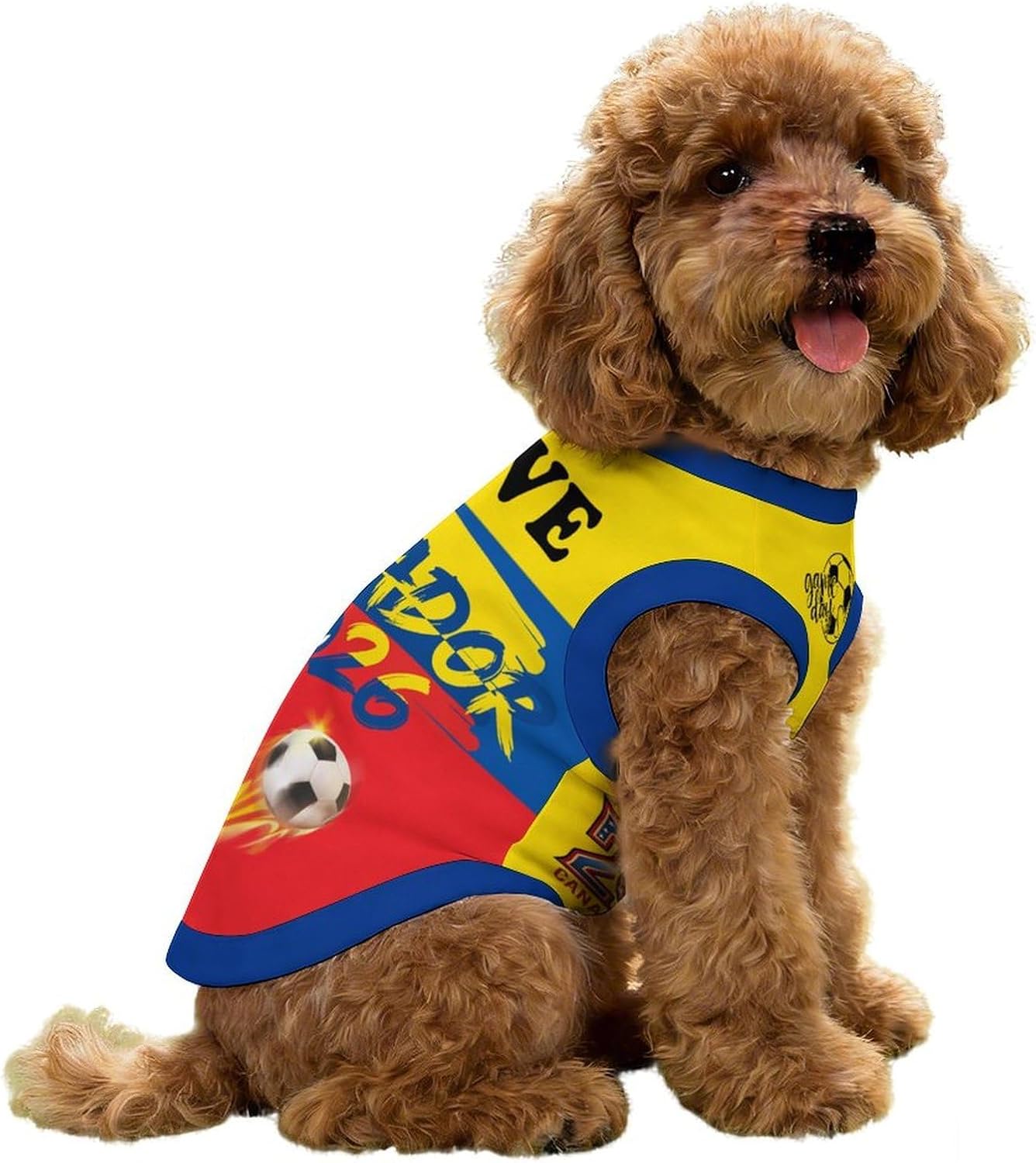 Small dog running in Mexico 2026 pet sportswear
