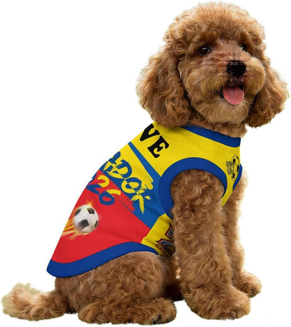 Small dog running in Mexico 2026 pet sportswear