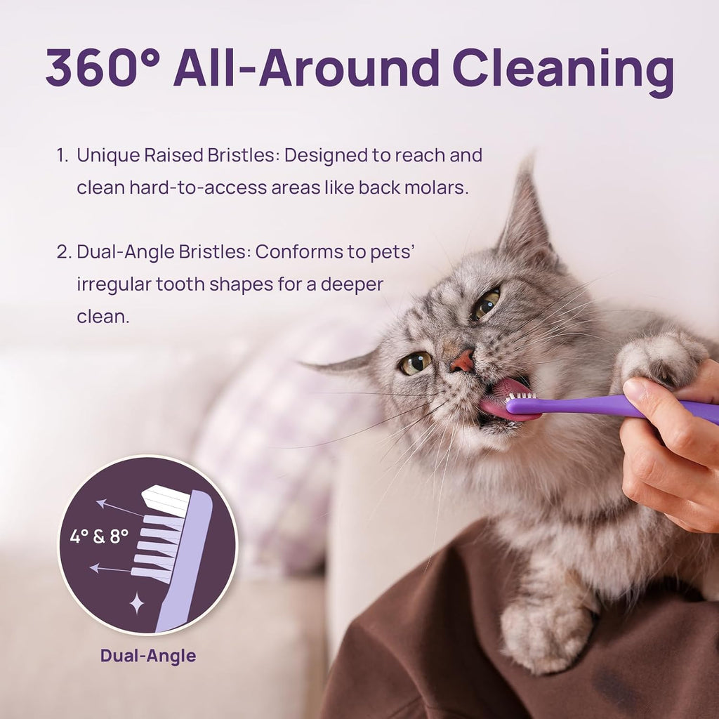 Professional pet dental care brush for daily use