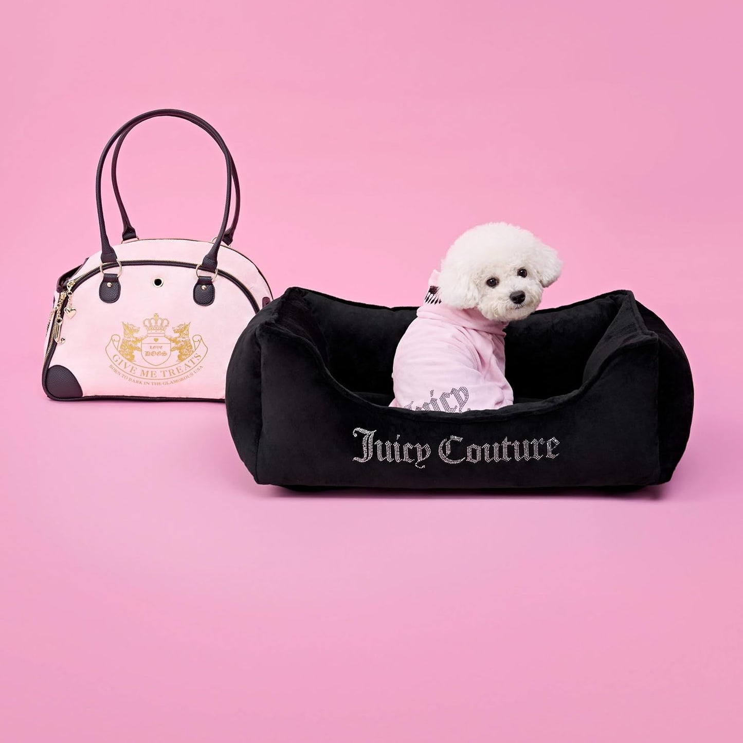 Premium rhinestone pet apparel for Chihuahuas and Yorkies