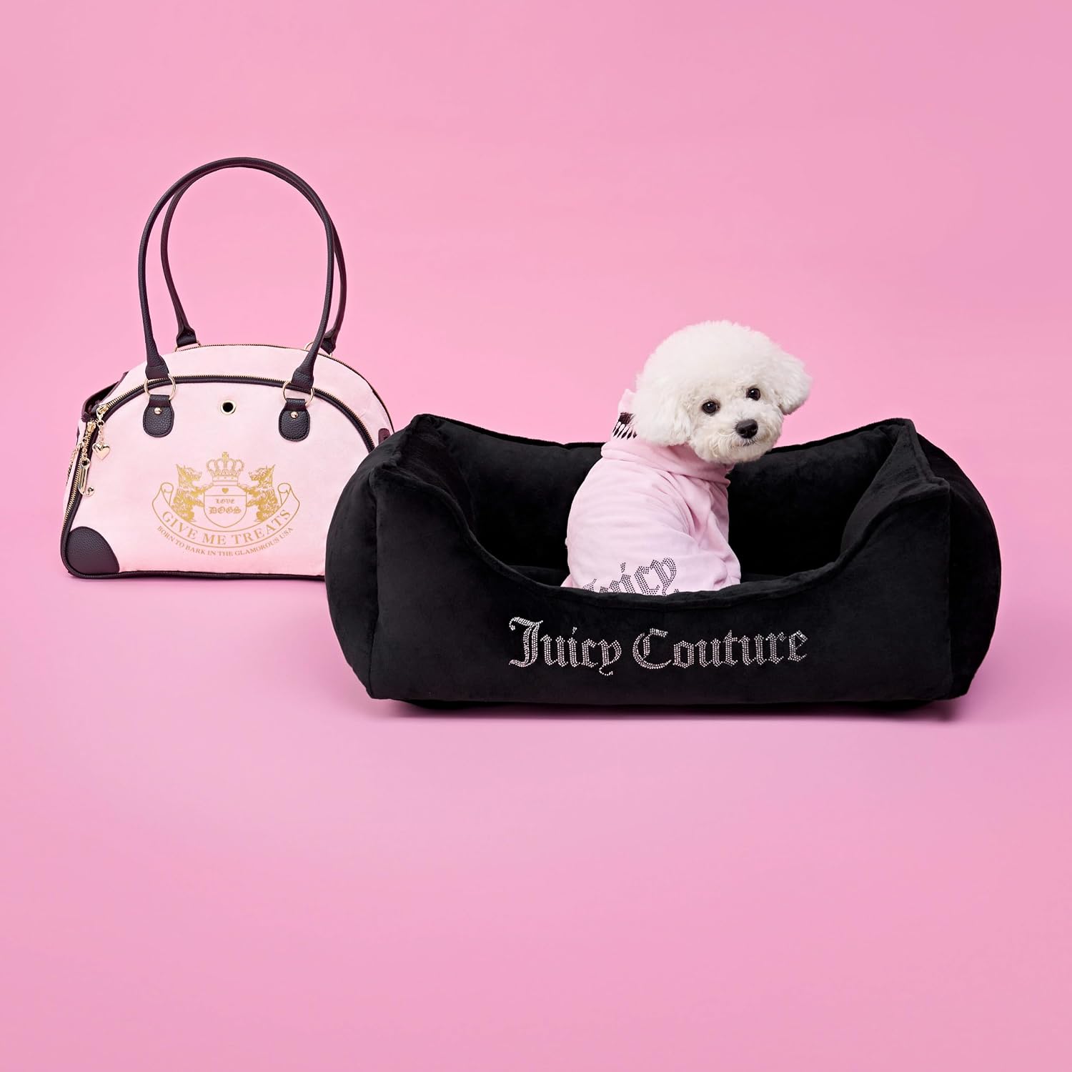 Premium rhinestone pet apparel for Chihuahuas and Yorkies