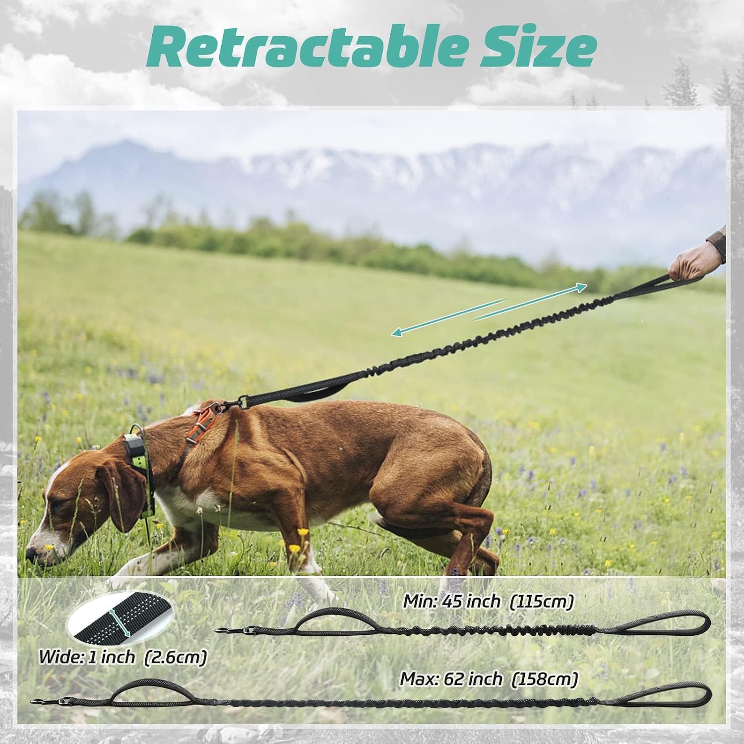 Rabbitgoo military grade dog training leash fully extended view