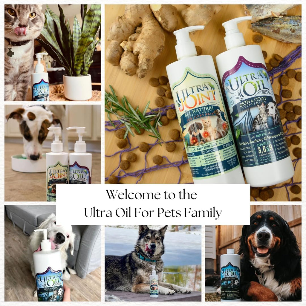 Side view of Ultra Oil Skin and Coat Supplement bottle showcasing the convenient pump applicator for mess free pet feeding.
