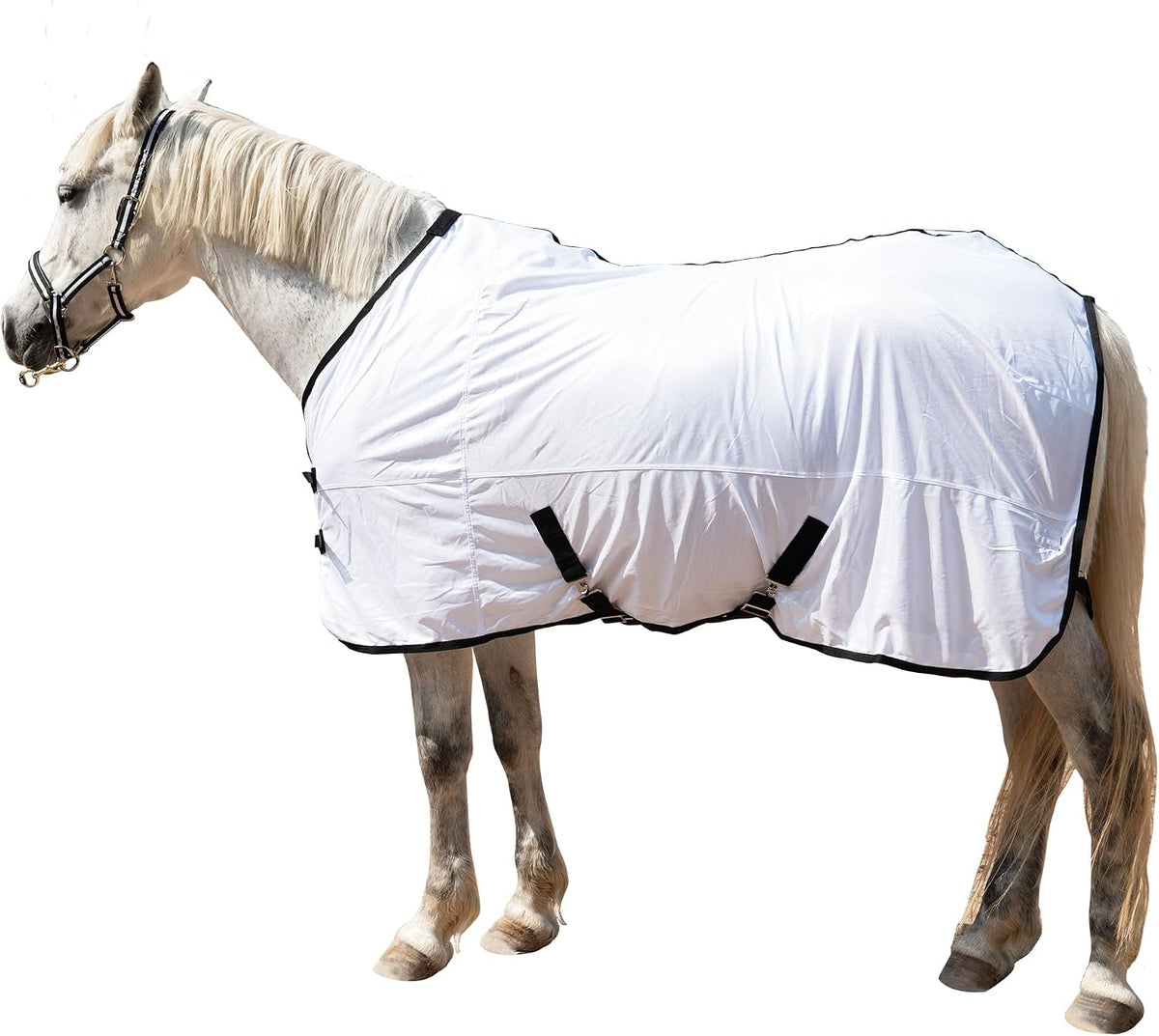 Tarfepa horse fly sheet white mesh front view