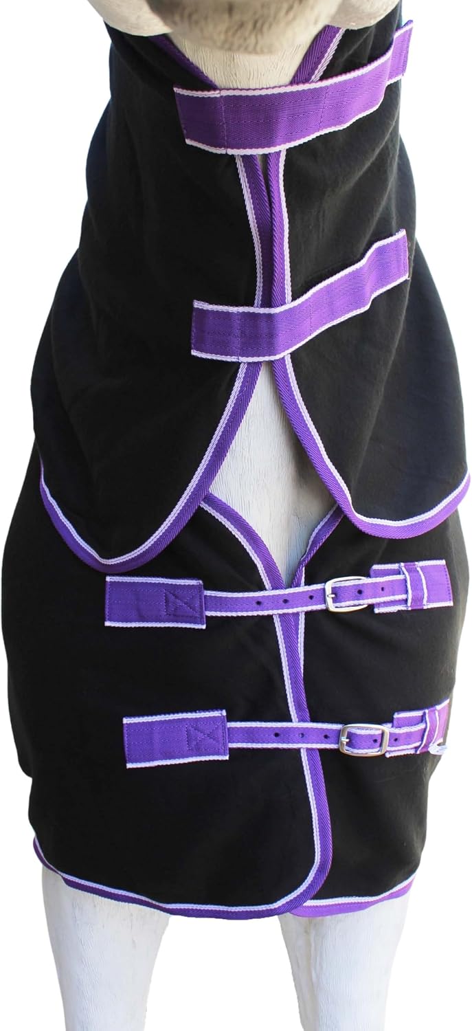 Challenger 4391N horse exercise blanket adjustable front buckles close up