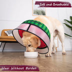 Large breed dog sleeping comfortably wearing a soft inflatable recovery cone