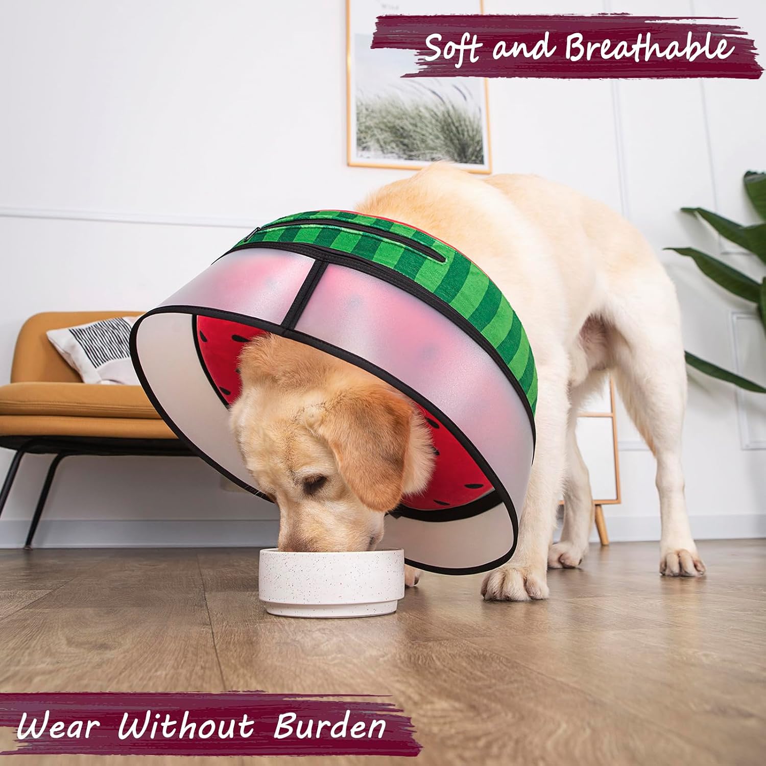 Large breed dog sleeping comfortably wearing a soft inflatable recovery cone