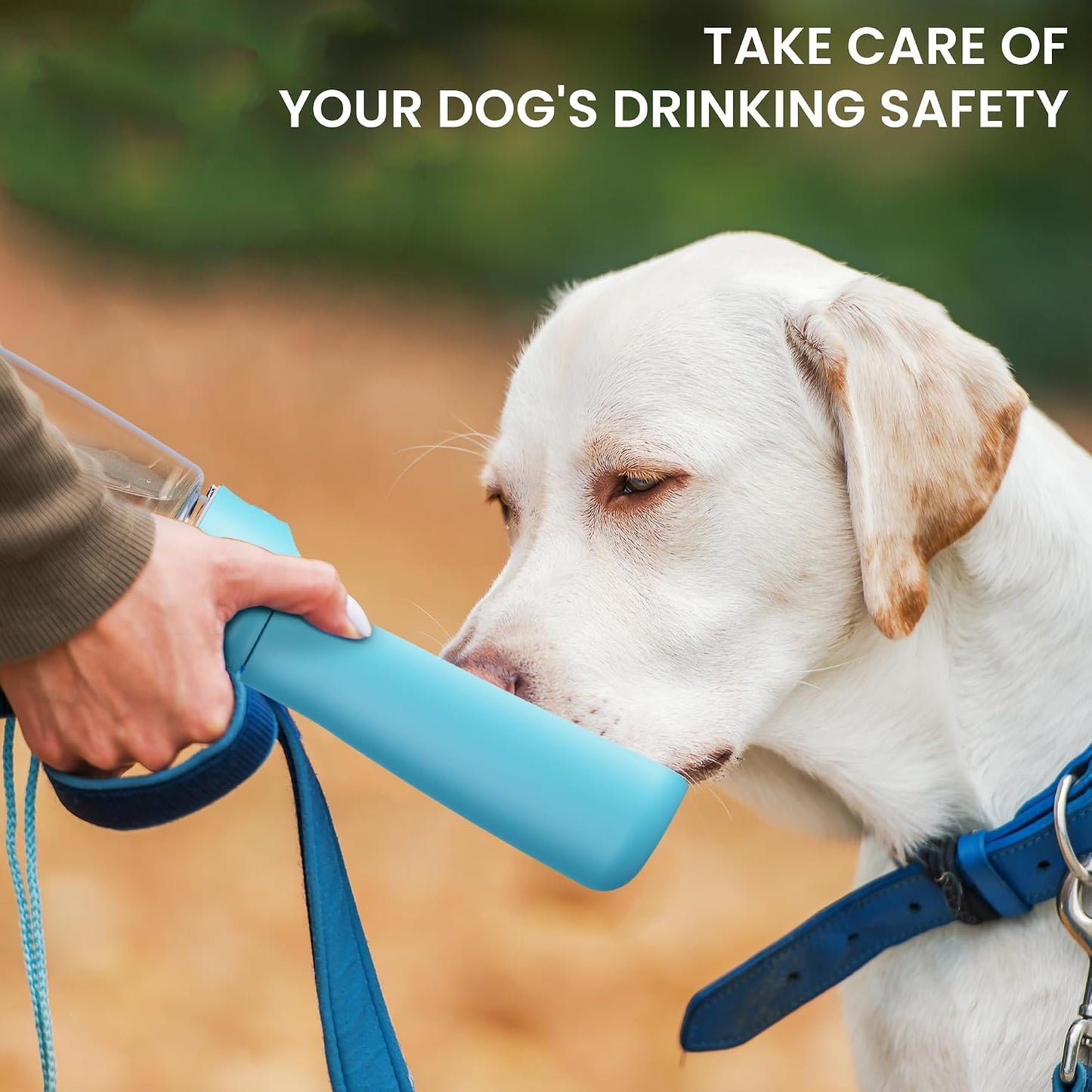 Demonstration of the leak proof silicone sealing ring inside the FORWH dog bottle.