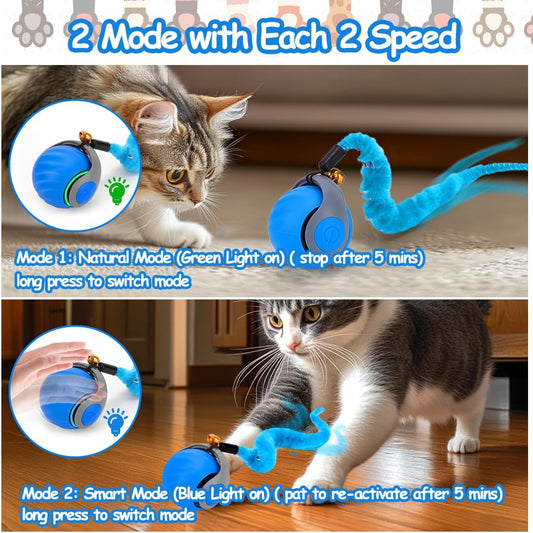 Smart self rolling automatic cat toy ball displaying the built-in Type-C USB charging port and LED mode indicator lights.