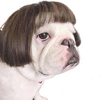 TESSVEYA funny dog cat cosplay wig front view of dog wearing black brown straight hair costume