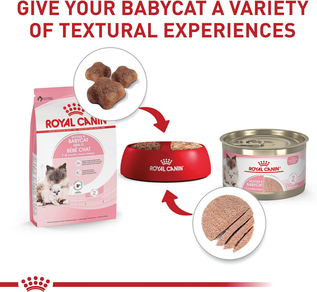 Royal Canin dry cat food for pregnant queens and early stage kittens showing product details.