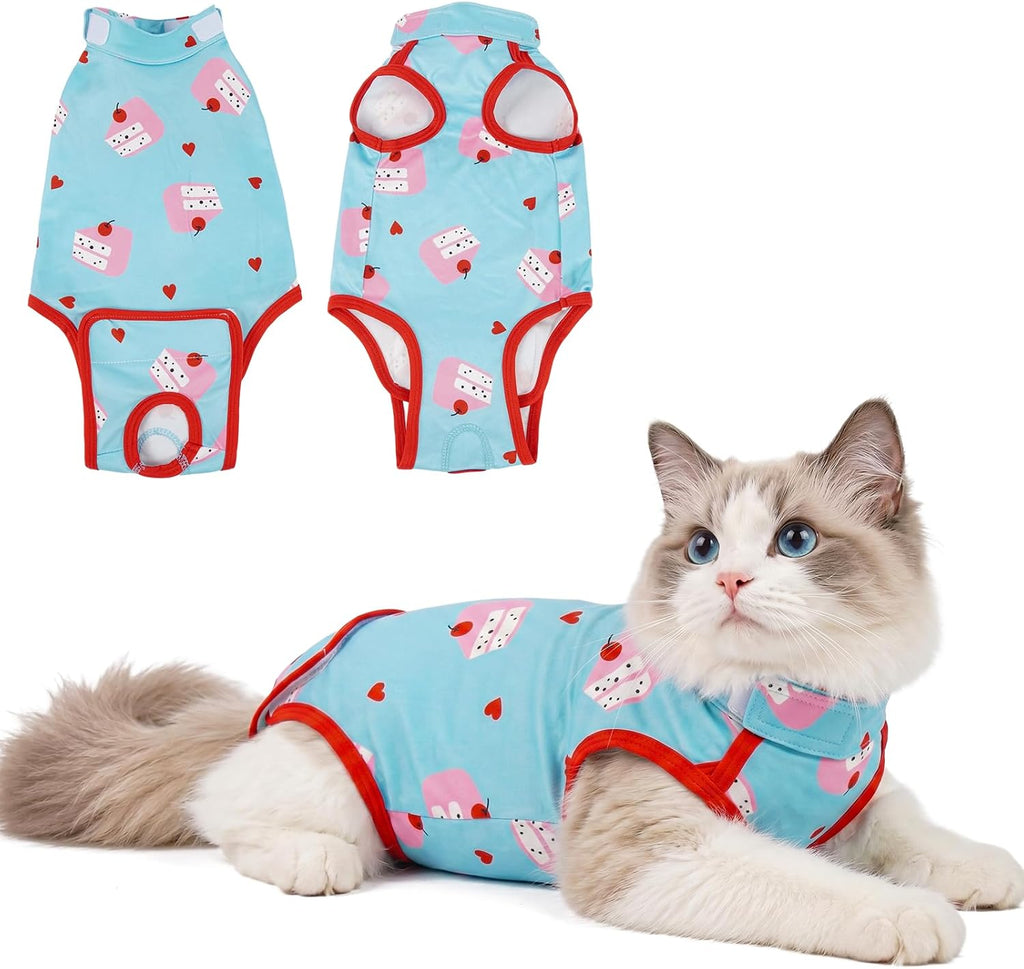 Post-surgery cat onesie as E-collar alternative