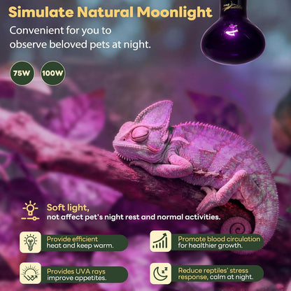 Purple one hundred watt reptile basking light bulb emitting nocturnal warmth