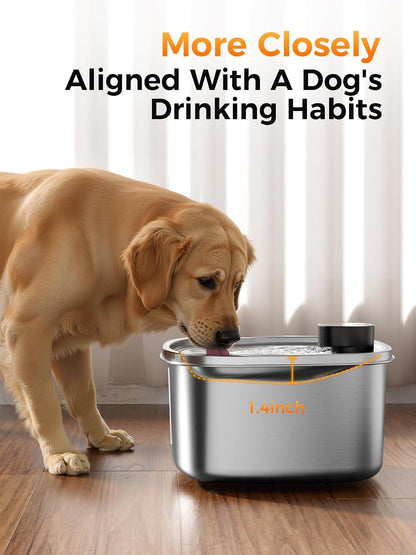 Large 10L capacity stainless steel dog water dispenser