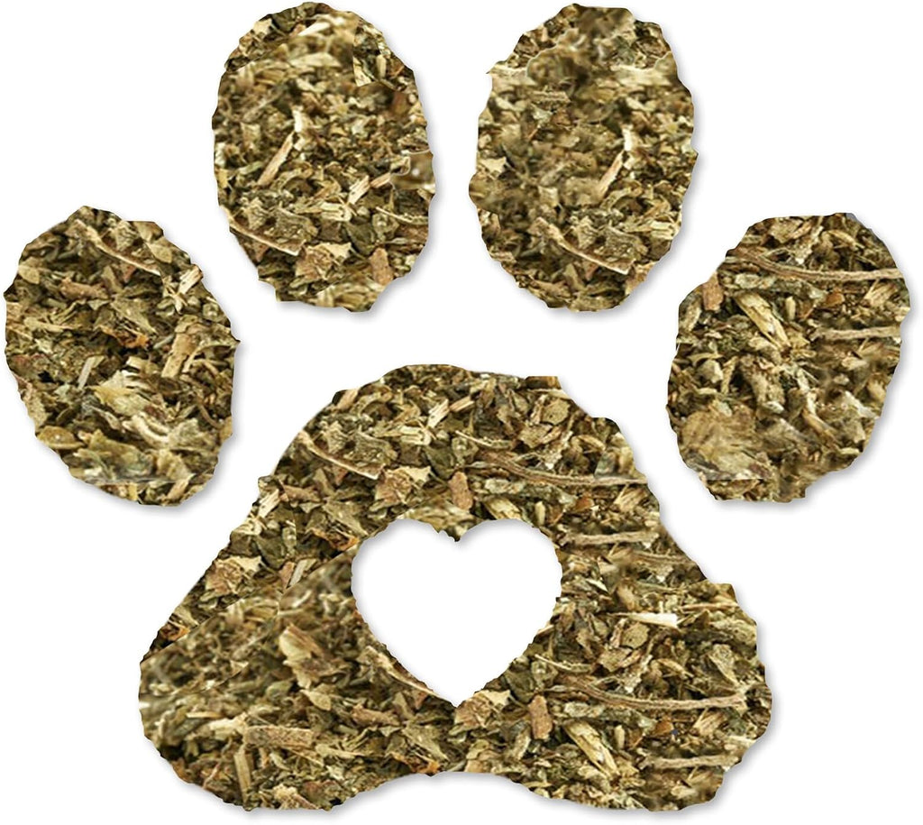 Dried organic catnip leaves and flowers spilled on a table