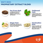Applying beloved pets yeast treatment drops to dog food