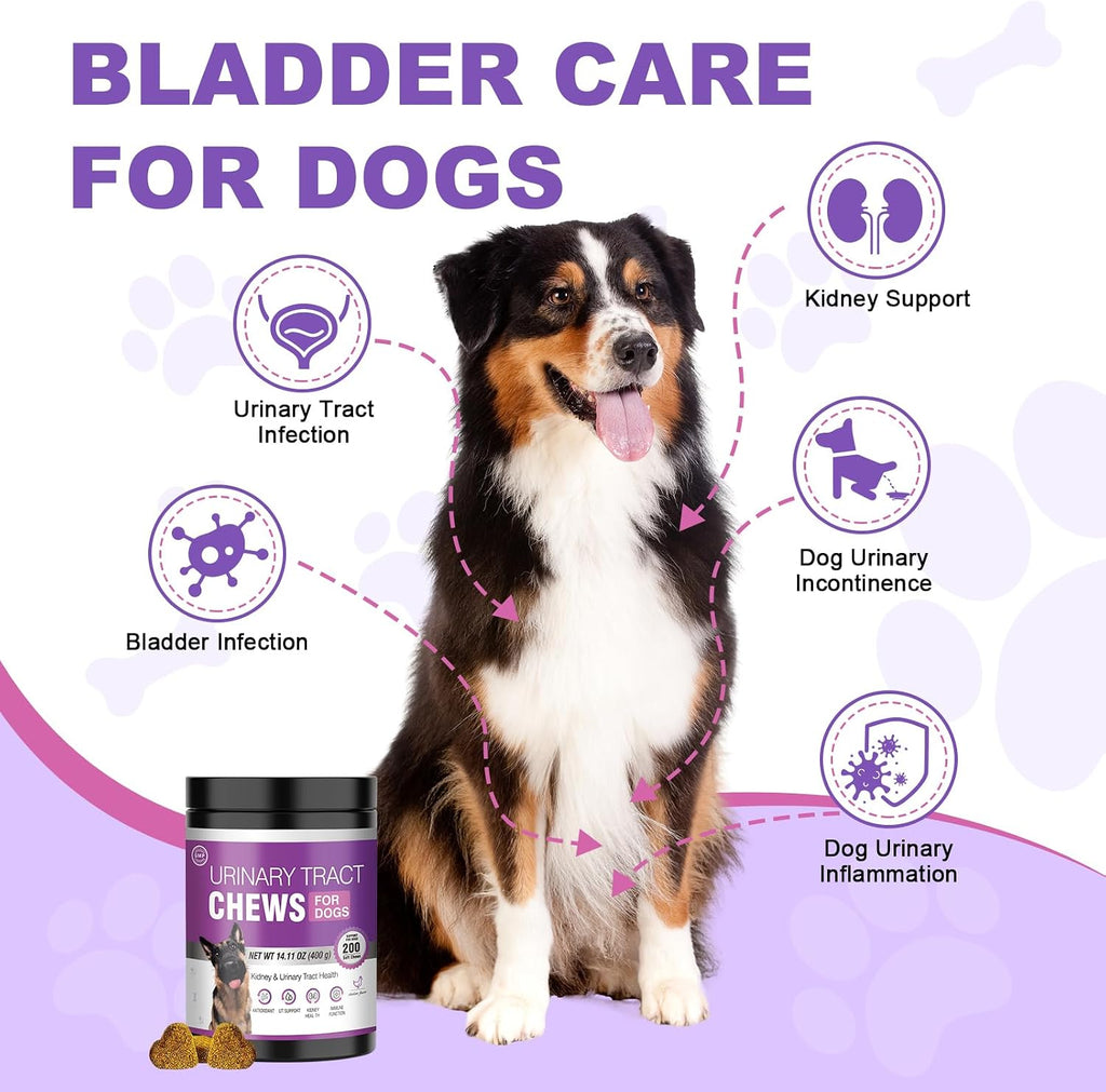 Back label of dog UTI treatment showing natural cranberry extract ingredients and directions