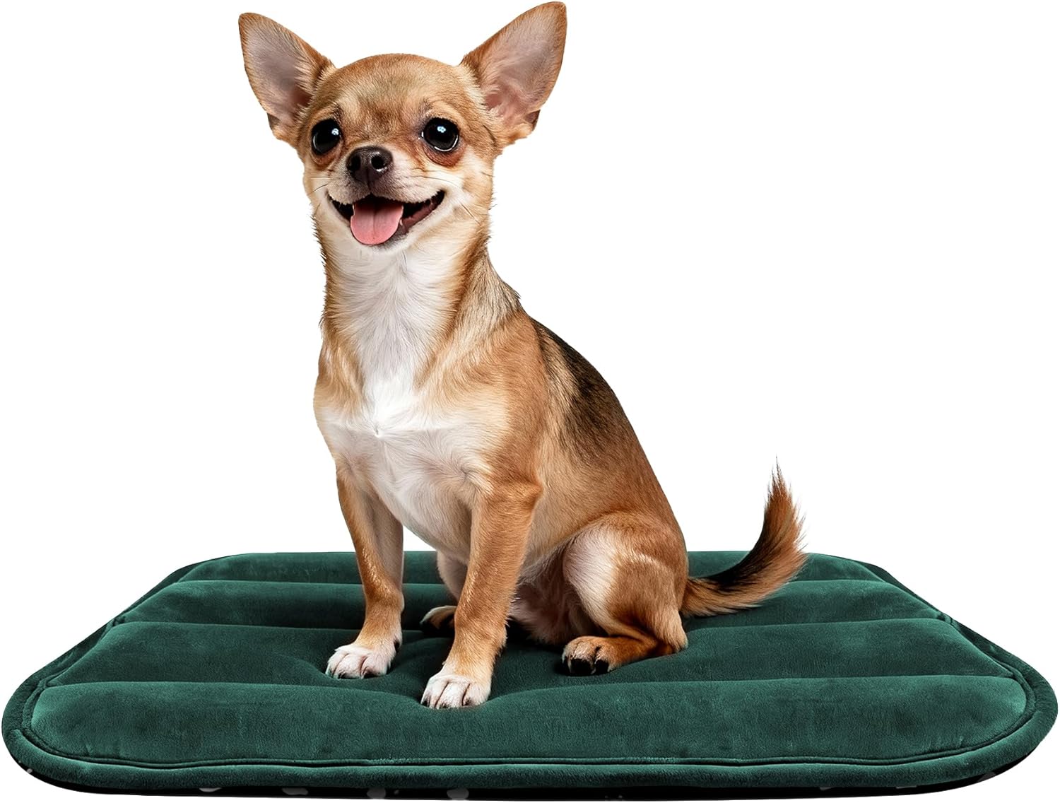 Pobopobo pet travel mat rolled up and ready for outdoor camping