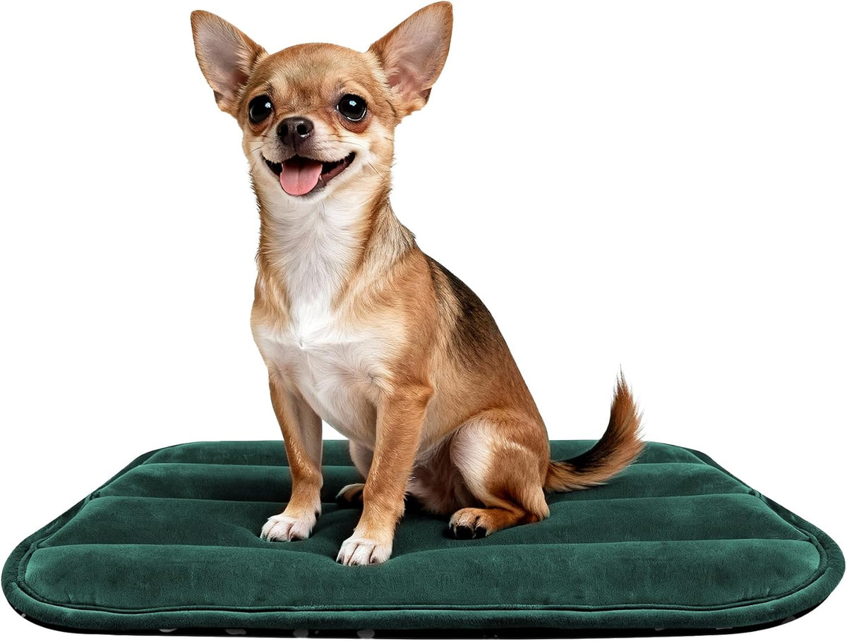 Pobopobo pet travel mat rolled up and ready for outdoor camping