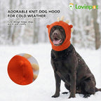 Large dog wearing orange dinosaur costume ear and neck warmer