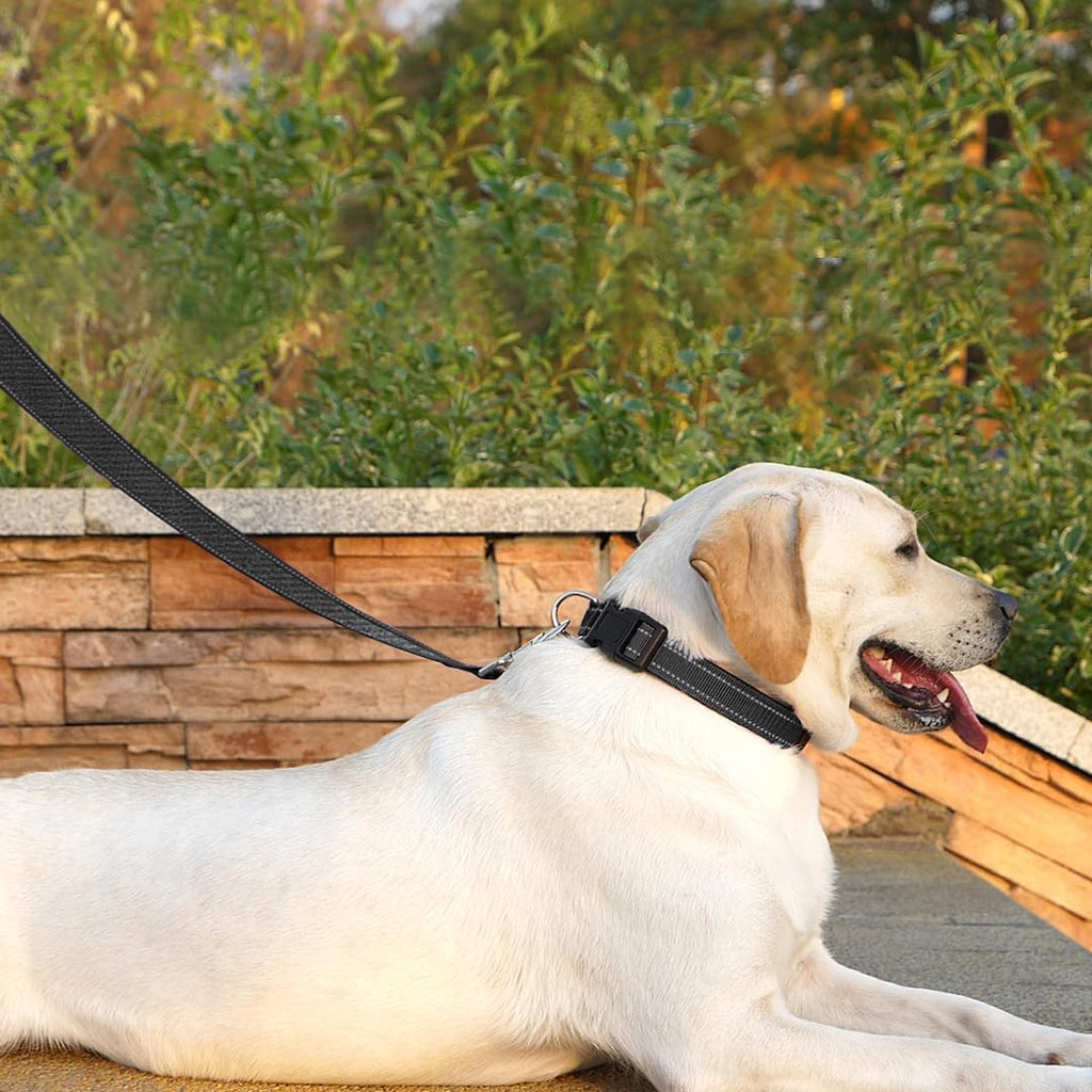 Reflective dog lead for medium dogs night safety visibility