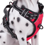 PoyPet No Pull Dog Harness, Reflective Comfortable Vest Harness with Front & Back 2 Leash Attachments and Easy Control Handle Adjustable Soft Padded Pet Vest for Small Medium Large Dogs (Mint Blue,M) - Image 11
