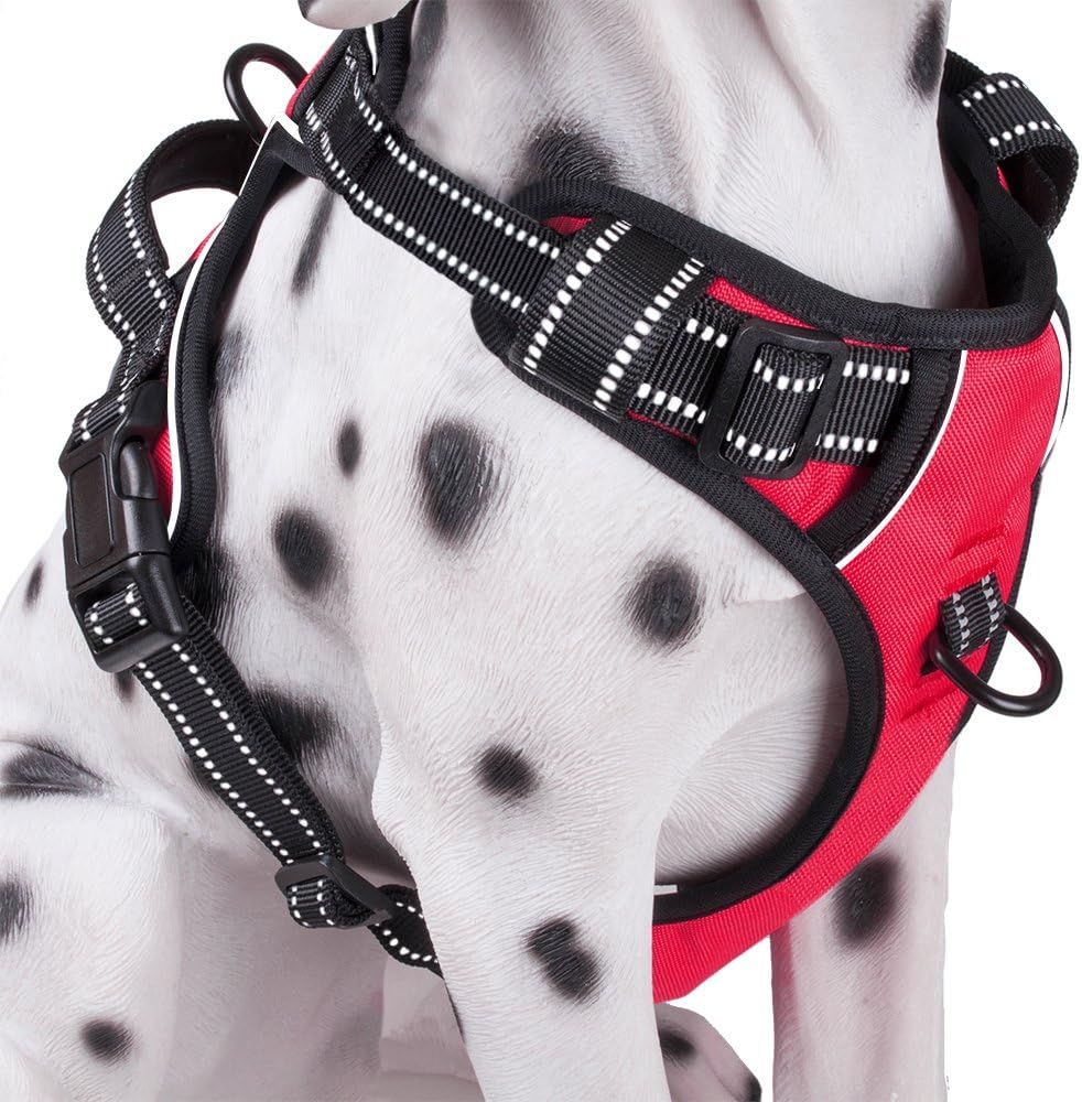 PoyPet No Pull Dog Harness, Reflective Comfortable Vest Harness with Front & Back 2 Leash Attachments and Easy Control Handle Adjustable Soft Padded Pet Vest for Small Medium Large Dogs (Mint Blue,M) - Image 11