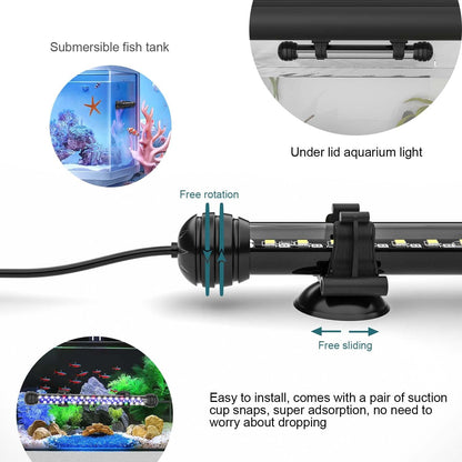 Seaoura LED light packaging and included accessories