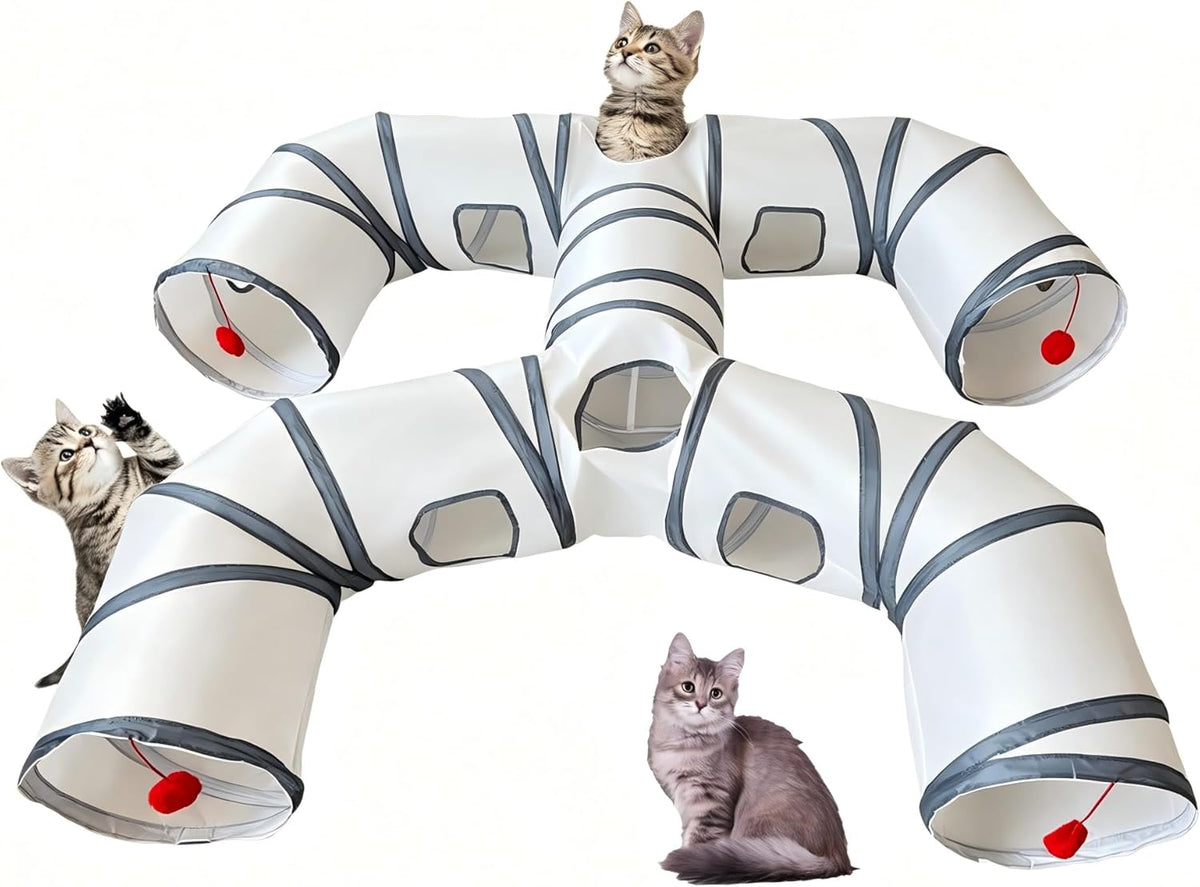 Packaging view of the authentic imported Bigladious interactive play tube ready for pet exercise.