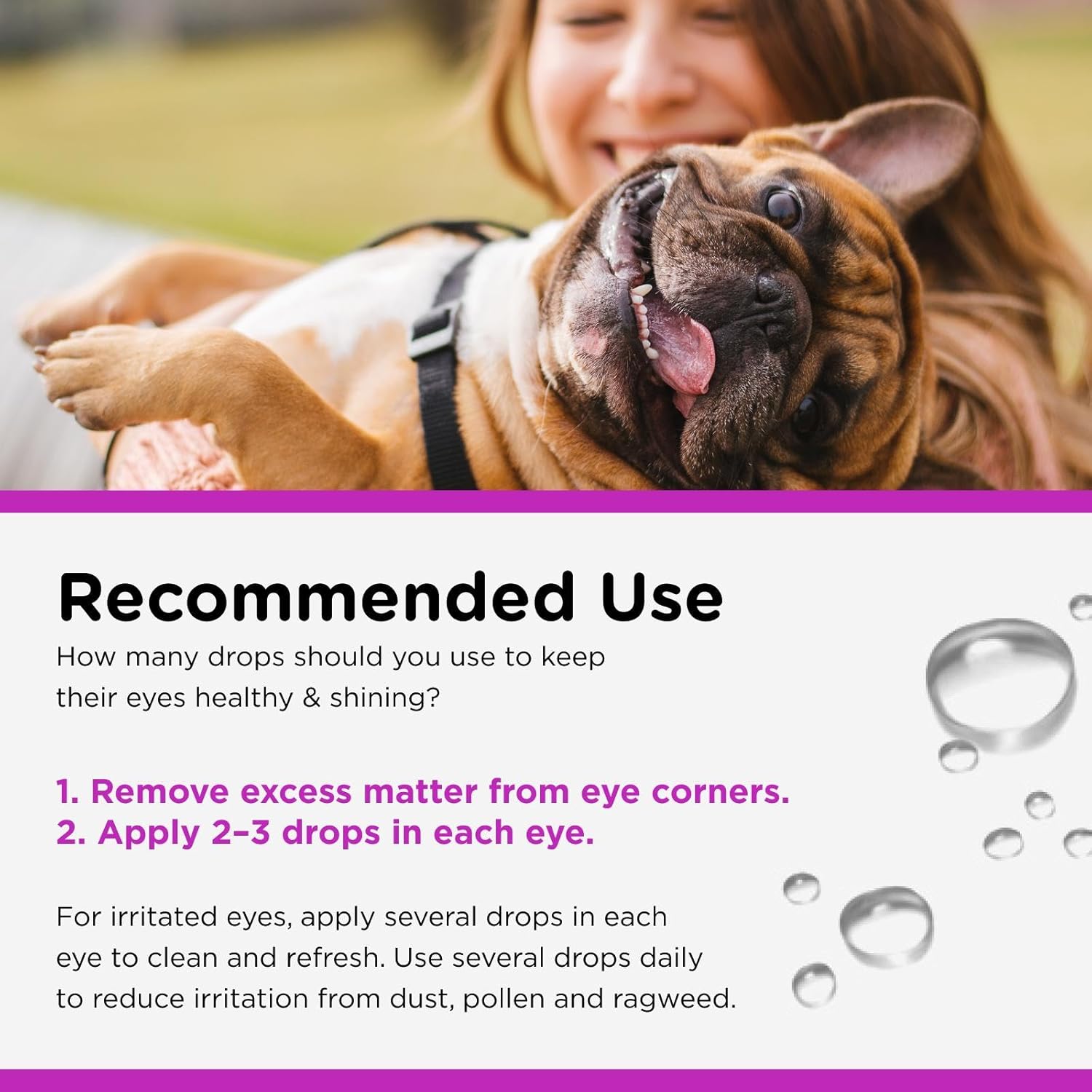 Dog eye wash solution with boric acid for clearing dust and pollen irritants