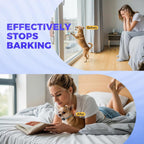 Small dog wearing PcEoTllar bark collar comfortably