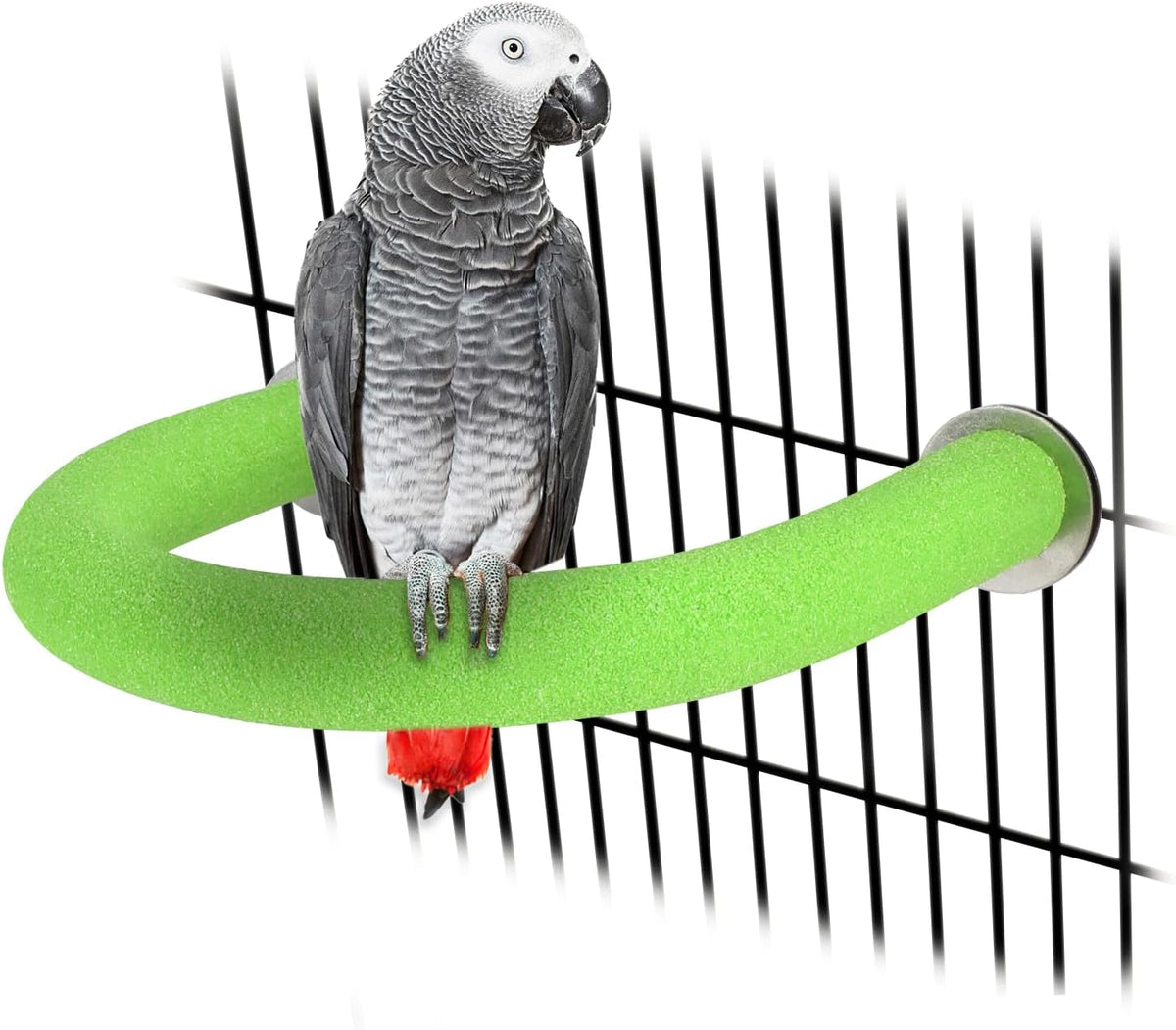Rypet U-Shaped Large Parrot Perch, Quartz Bird Perch for Cage(Blue L) - Image 13