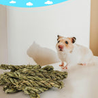 Natural grass sticks for hamsters and chinchillas demonstrating safe organic materials.