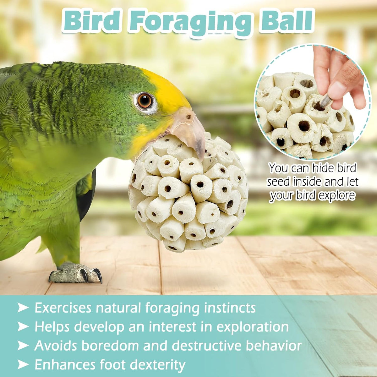 Small bird playing with natural sola ball foot toy