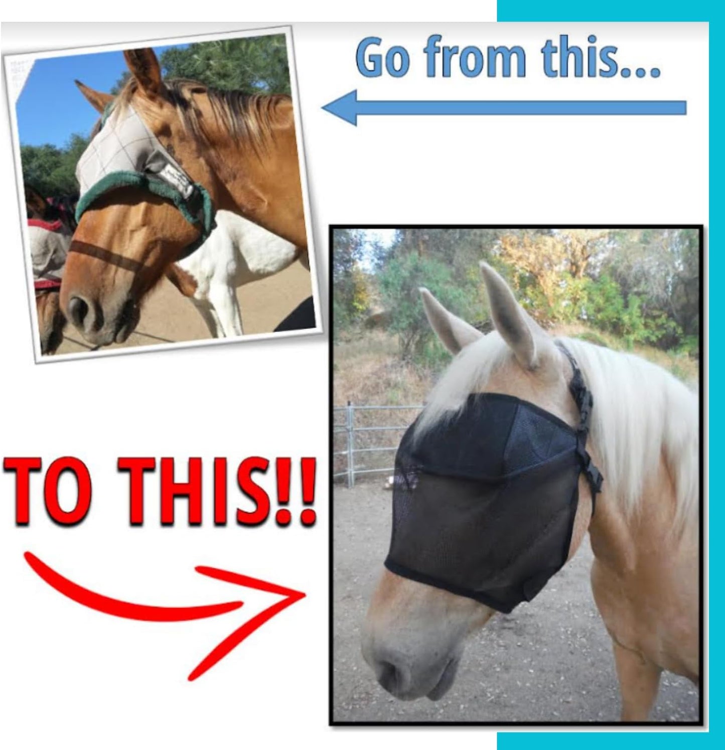 Close up of the quick-release safety breakaway clip on EquiVizor mask