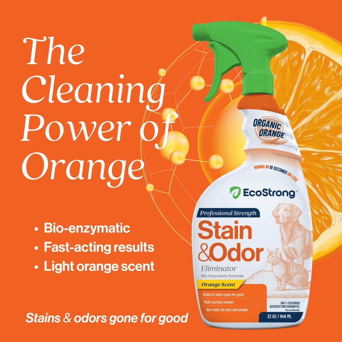 Eco Strong bio-enzymatic cleaner applied to carpet