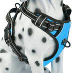 Dog wearing poypet mint blue medium vest harness