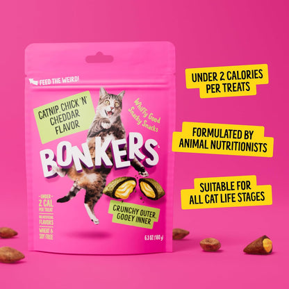 Top view of Bonkers Bites chicken flavored crunchy cat treats