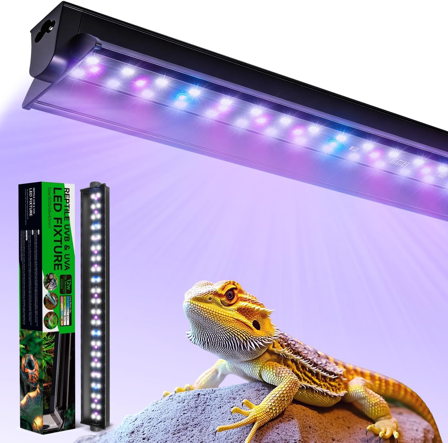 Reptile lighting fixture placed over a screen mesh top of a bearded dragon tank.