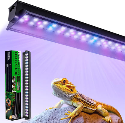 Reptile lighting fixture placed over a screen mesh top of a bearded dragon tank.