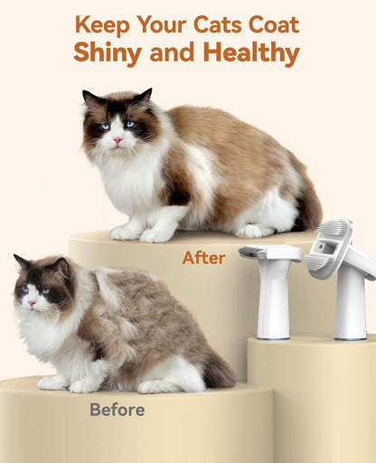 Oneisall grooming kit showing 1.5L dust cup and tools