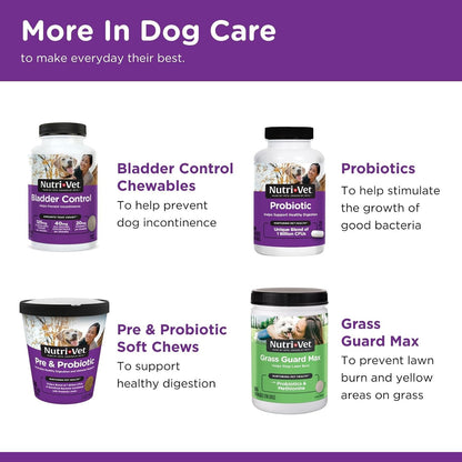 Veterinarian formulated digestive support for dogs