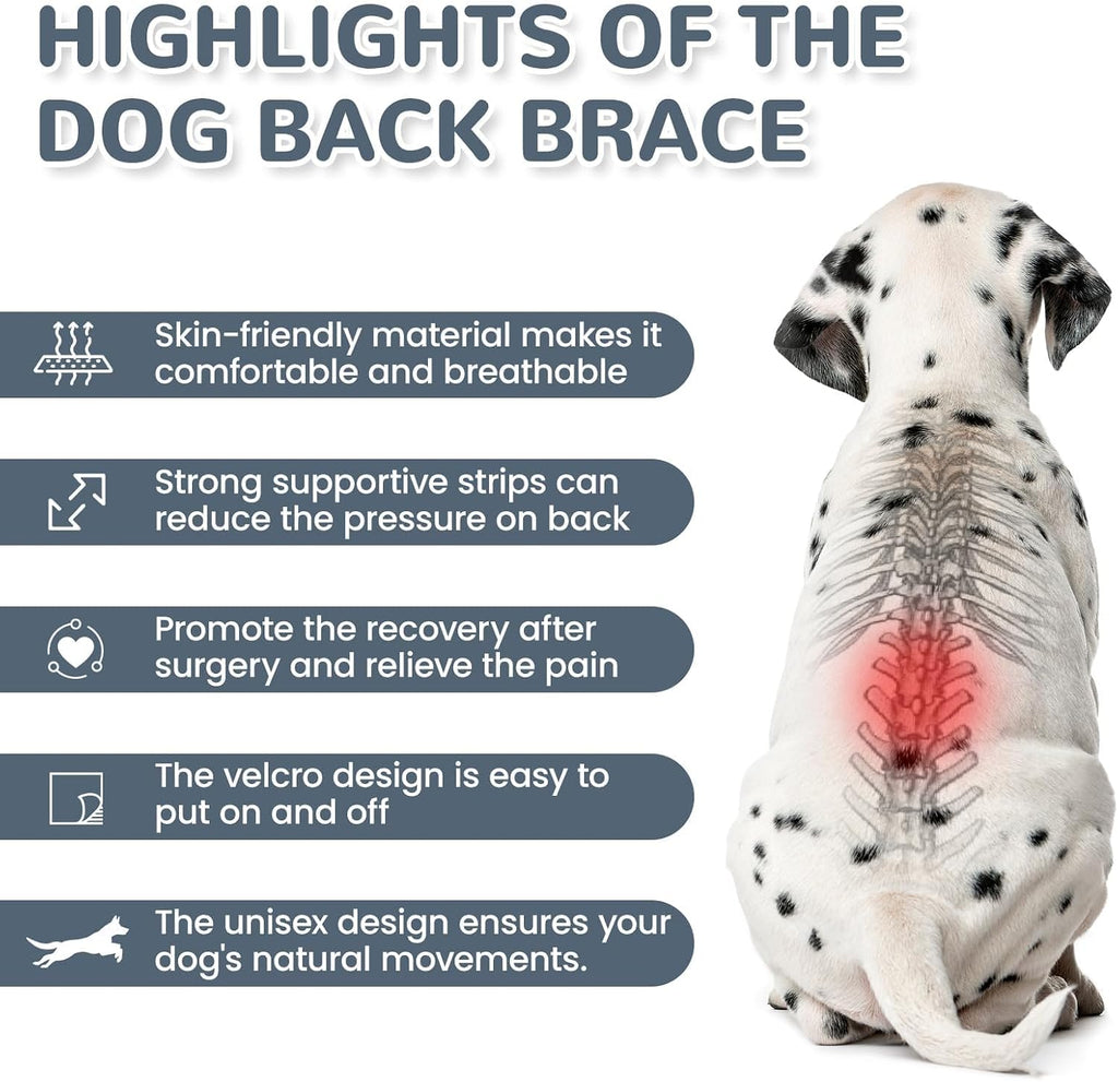LETSQK pet recovery suit back view showing spinal alignment stabilization