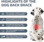 LETSQK pet recovery suit back view showing spinal alignment stabilization