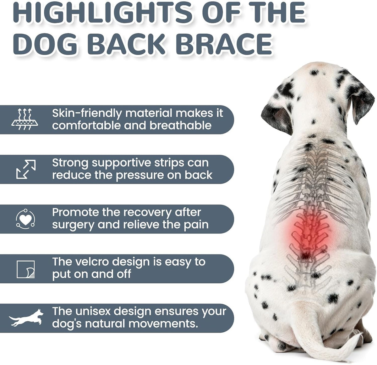 LETSQK pet recovery suit back view showing spinal alignment stabilization